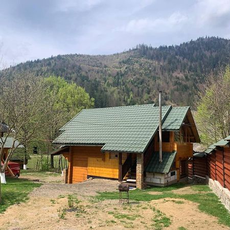 Verkhnyaya Bystra Еко Будинок В Горах מראה חיצוני תמונה